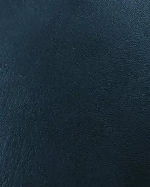 Navy Leather