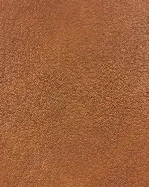 Brown Leather